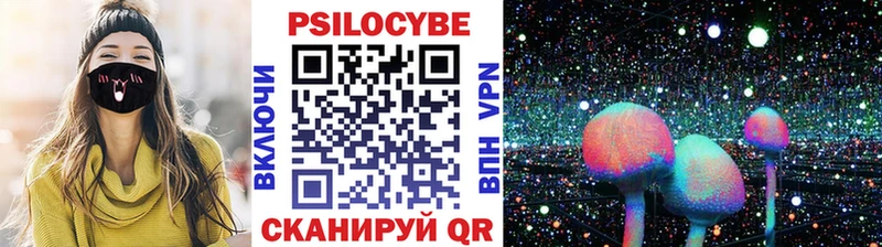 Псилоцибиновые грибы мицелий  Купить закладки  Рудня 