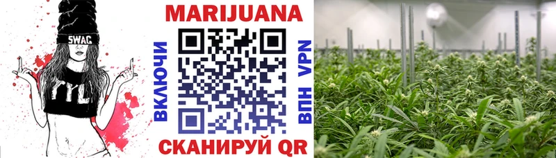 Шишки марихуана SATIVA & INDICA  Купить  Рудня 